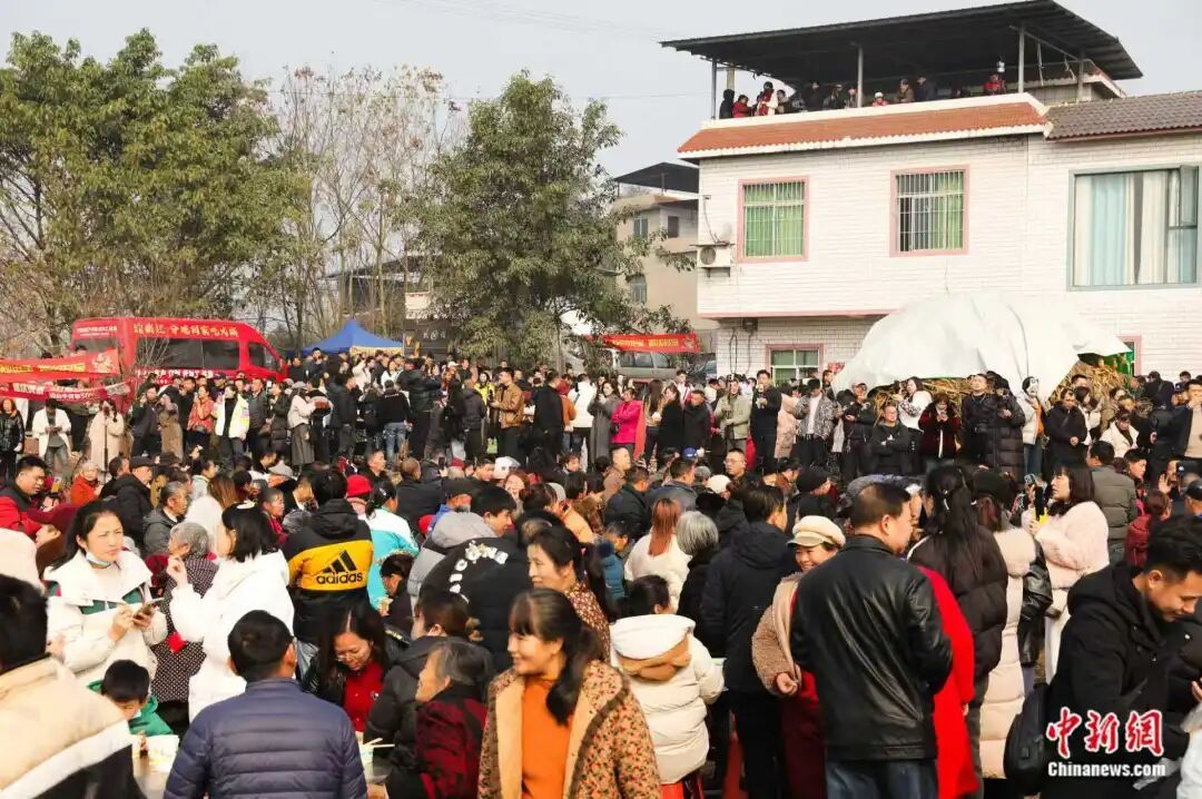 “按不住的年猪”引来“泼天流量”