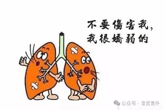 肺的“保养秘籍”:守护呼吸的畅快 肺的“保养秘籍”:守护呼吸的畅快