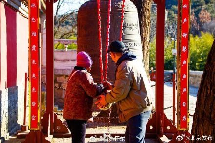 古刹冬韵，雀影暖心：共赴红螺寺治愈之旅