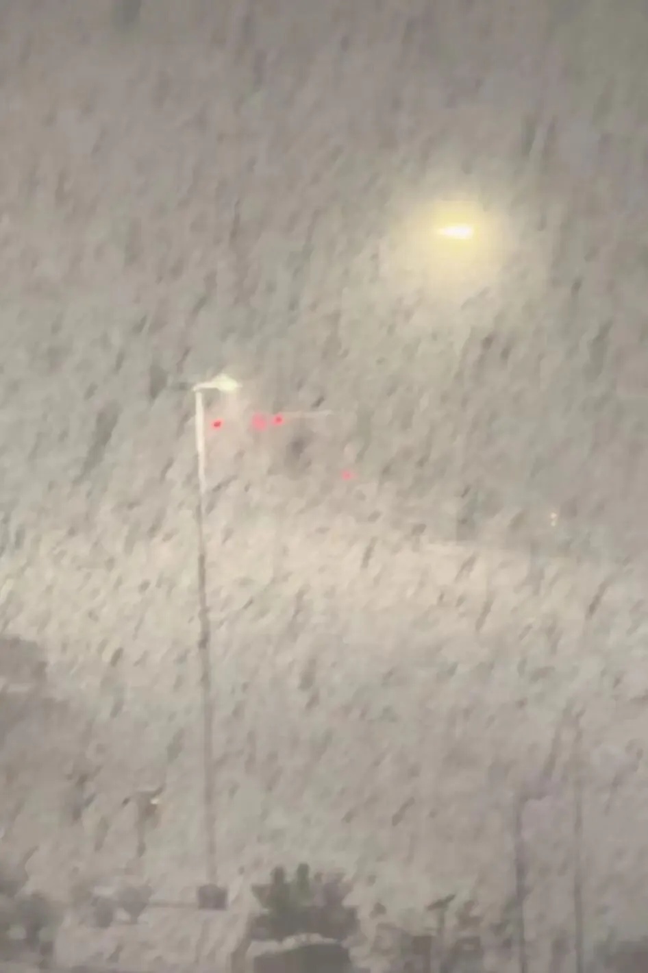 威海烟台雪下到“冒烟”,什么情况? 威海烟台雪下到“冒烟”,什么情况?