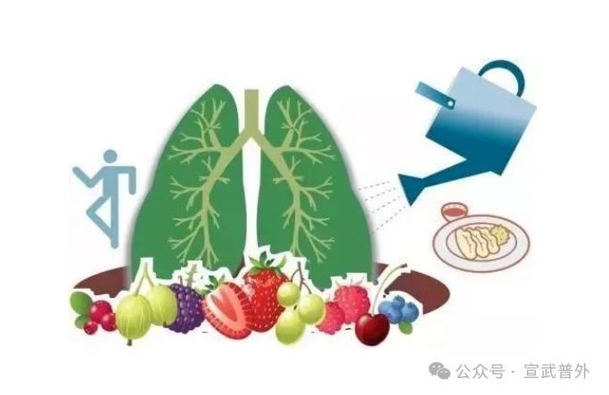肺的“保养秘籍”:守护呼吸的畅快 肺的“保养秘籍”:守护呼吸的畅快