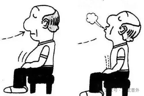 肺的“保养秘籍”:守护呼吸的畅快 肺的“保养秘籍”:守护呼吸的畅快