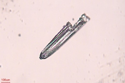 微观视角看雪花雪花原来长这样! 微观视角看雪花雪花原来长这样!