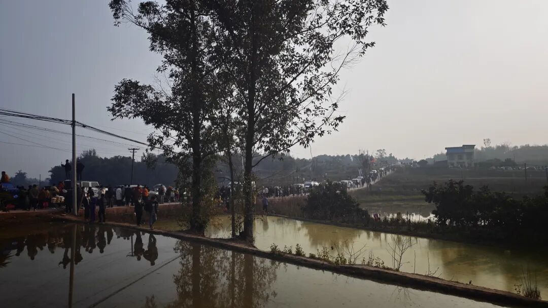 “呆呆刨猪宴”爆火！堵车3公里、杀5头猪开流水席