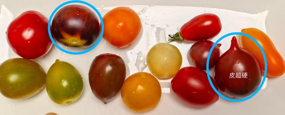 减肥好搭子!这个水果低卡高纤还美味 多吃不怕胖 减肥好搭子!这个水果低卡高纤还美味 多吃不怕胖