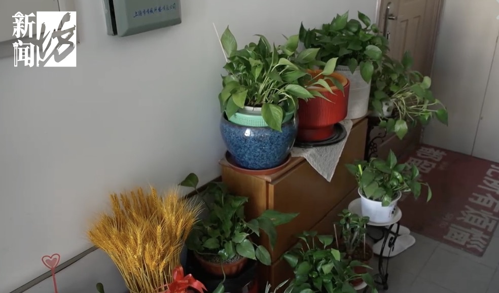 上海多区密集发布:致全体居民信!今起,家中务必调整!严重可罚至10万 上海多区密集发布:致全体居民信!今起,家中务必调整!严重可罚至10万