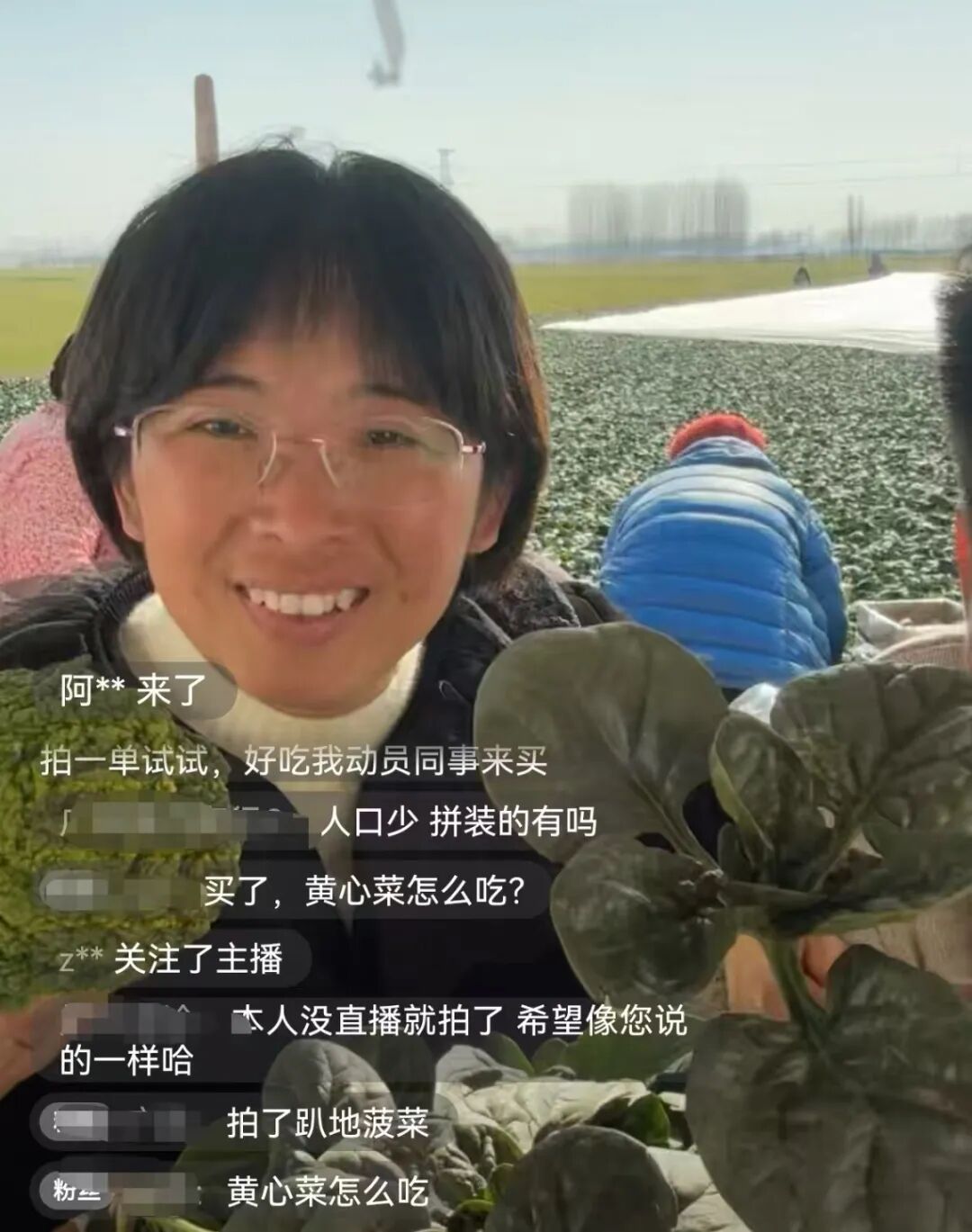 河南趴地菠菜爆火,本土蔬菜集体破圈!你吃了吗? 河南趴地菠菜爆火,本土蔬菜集体破圈!你吃了吗?