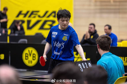 樊振东3比0米诺 樊振东3比0米诺