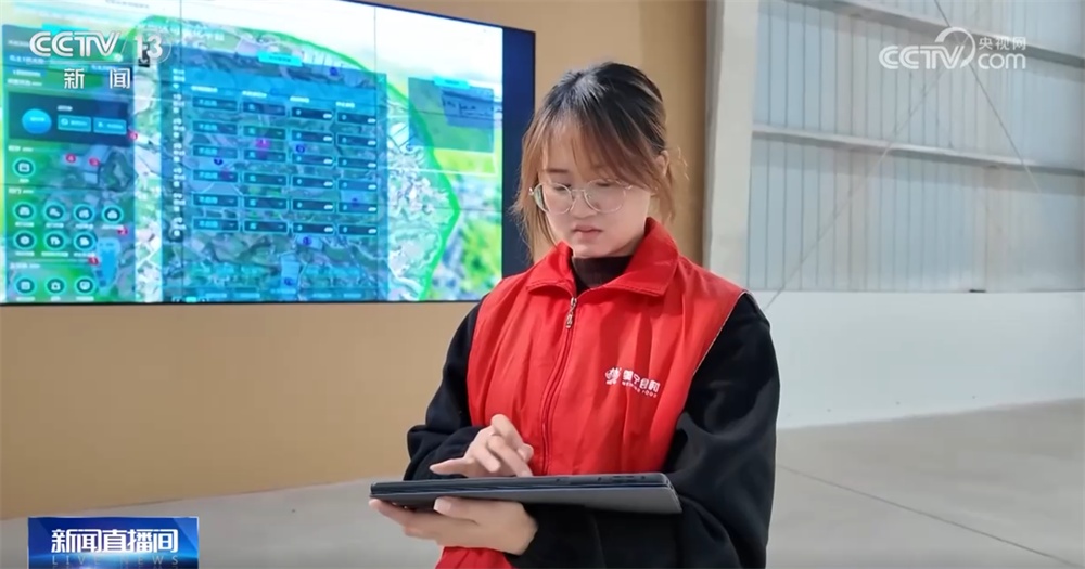 这个“00后”种菜班让智慧农业“照进”田间日常 温室大棚一派好“丰”景 这个“00后”种菜班让智慧农业“照进”田间日常 温室大棚一派好“丰”景