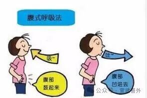 肺的“保养秘籍”:守护呼吸的畅快 肺的“保养秘籍”:守护呼吸的畅快