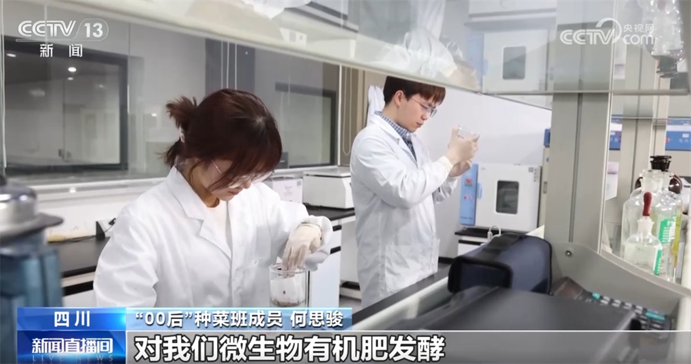 这个“00后”种菜班让智慧农业“照进”田间日常 温室大棚一派好“丰”景 这个“00后”种菜班让智慧农业“照进”田间日常 温室大棚一派好“丰”景