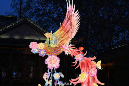 好漂亮！多地年味花灯陆续上线了