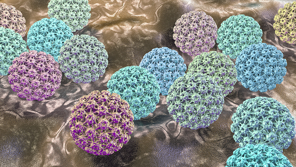 抓住HPV疫苗接种的“黄金”时机 让病毒“无处可逃” 抓住HPV疫苗接种的“黄金”时机 让病毒“无处可逃”