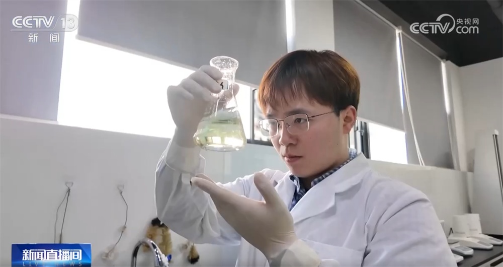 这个“00后”种菜班让智慧农业“照进”田间日常 温室大棚一派好“丰”景 这个“00后”种菜班让智慧农业“照进”田间日常 温室大棚一派好“丰”景