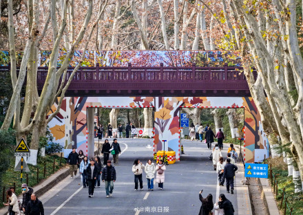 陵园路人行天桥换上限定版“梧桐外套”啦 陵园路人行天桥换上限定版“梧桐外套”啦