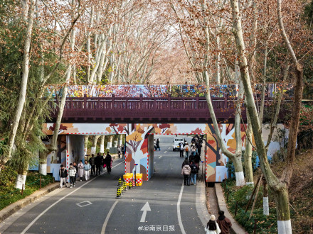 陵园路人行天桥换上限定版“梧桐外套”啦 陵园路人行天桥换上限定版“梧桐外套”啦