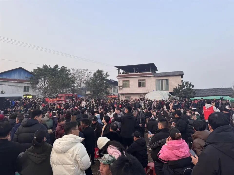 三个1合起来就是“川”！网友建议1月11日定为合川杀猪节，文旅委回应：可能会采纳