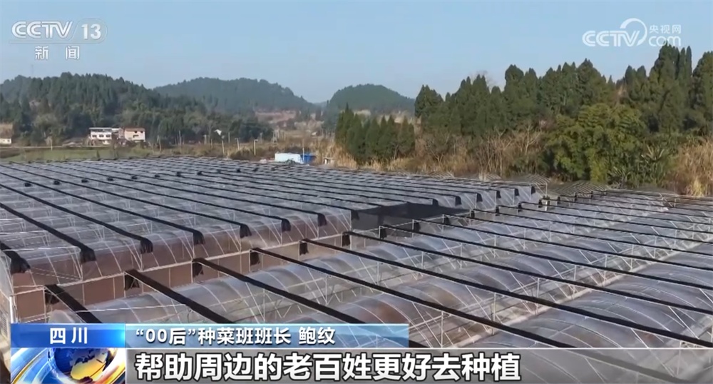 这个“00后”种菜班让智慧农业“照进”田间日常 温室大棚一派好“丰”景 这个“00后”种菜班让智慧农业“照进”田间日常 温室大棚一派好“丰”景