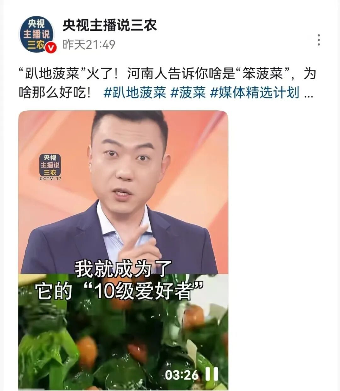 河南趴地菠菜爆火,本土蔬菜集体破圈!你吃了吗? 河南趴地菠菜爆火,本土蔬菜集体破圈!你吃了吗?