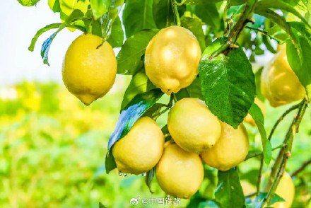 这个车站的安检仪，为啥扫描出这么多“罐罐”？