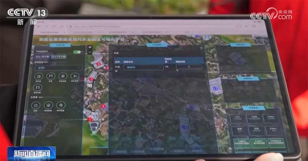 这个“00后”种菜班让智慧农业“照进”田间日常 温室大棚一派好“丰”景 这个“00后”种菜班让智慧农业“照进”田间日常 温室大棚一派好“丰”景