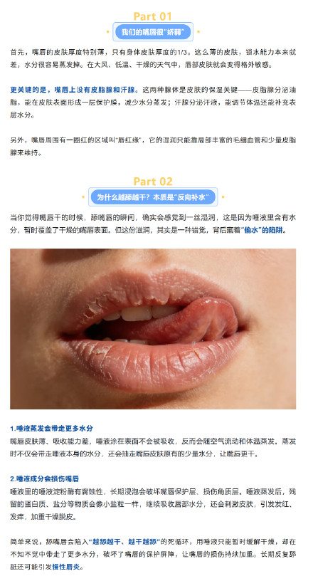 冬天嘴唇越舔越干？正确护唇这样做