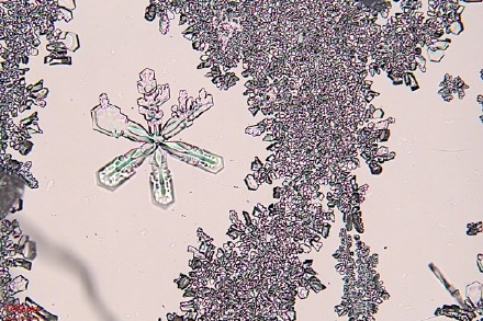 微观视角看雪花雪花原来长这样! 微观视角看雪花雪花原来长这样!