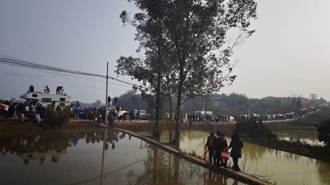 “呆呆刨猪宴”爆火！堵车3公里、杀5头猪开流水席