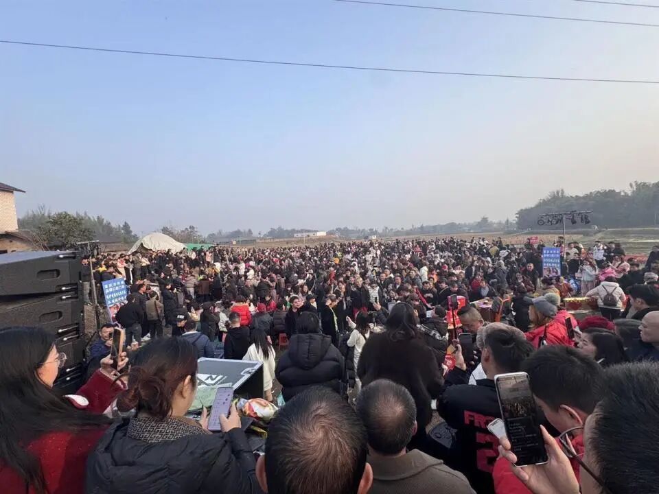 三个1合起来就是“川”！网友建议1月11日定为合川杀猪节，文旅委回应：可能会采纳