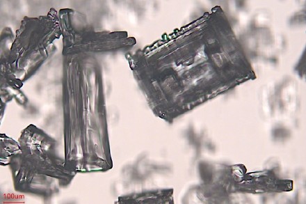 微观视角看雪花雪花原来长这样! 微观视角看雪花雪花原来长这样!