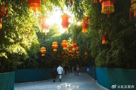 古刹冬韵，雀影暖心：共赴红螺寺治愈之旅