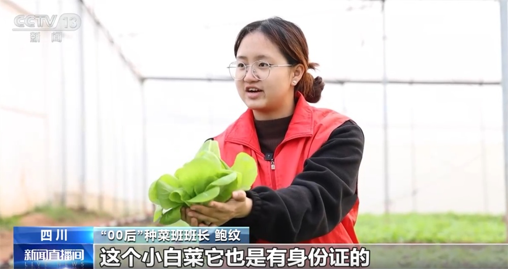 这个“00后”种菜班让智慧农业“照进”田间日常 温室大棚一派好“丰”景 这个“00后”种菜班让智慧农业“照进”田间日常 温室大棚一派好“丰”景