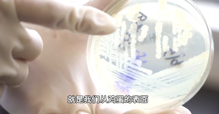 警惕,冰箱里最脏的地方……很多人因此进医院 警惕,冰箱里最脏的地方……很多人因此进医院