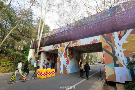 陵园路人行天桥换上限定版“梧桐外套”啦 陵园路人行天桥换上限定版“梧桐外套”啦