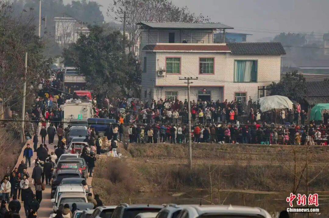 “按不住的年猪”引来“泼天流量”