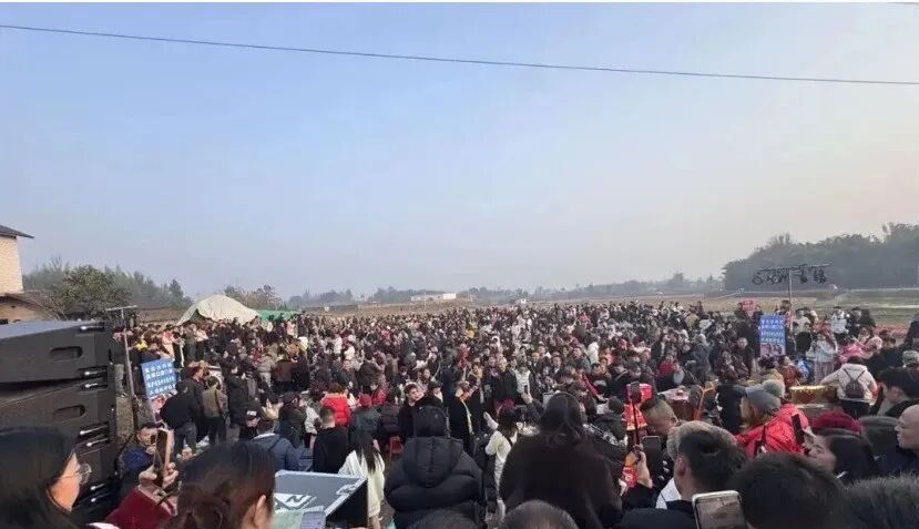 女子网上求助“按猪”，上千网友驱车前来帮忙！