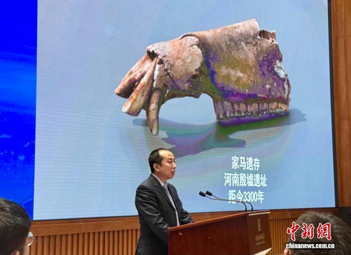 26省121处遗址逾10万件收藏 中国古代动物标本库拥有四项之最