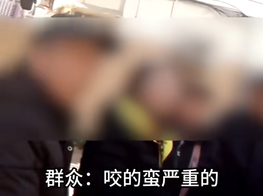 上海警方动真格！已有人被处罚！遛狗不牵绳的注意了