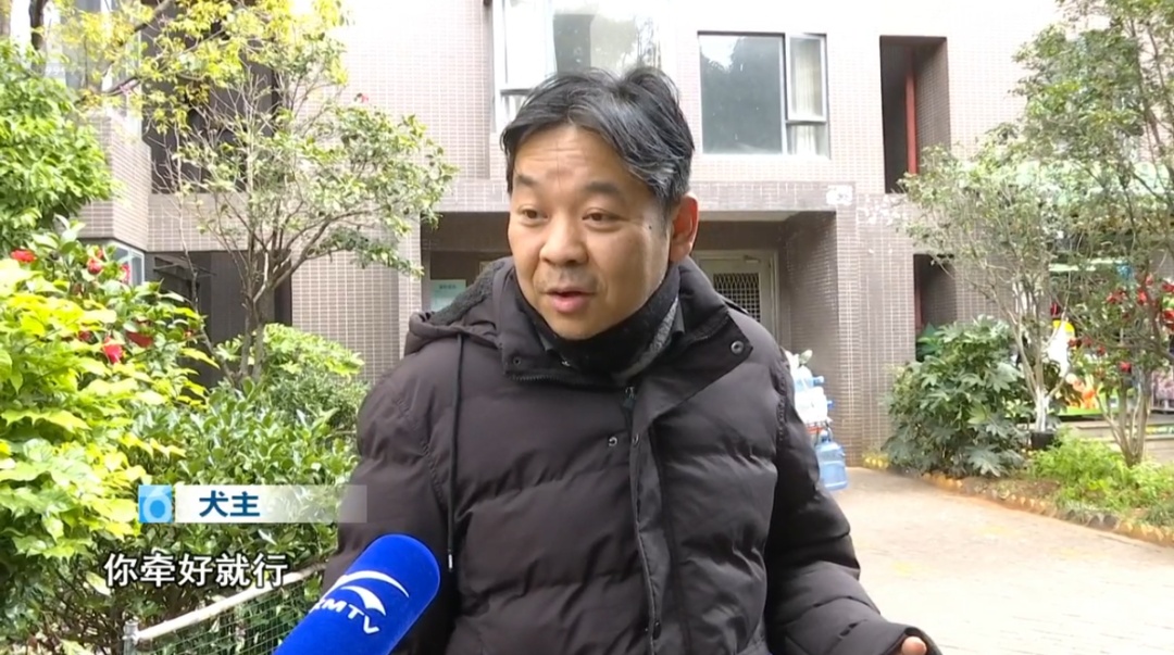 上海警方动真格！已有人被处罚！遛狗不牵绳的注意了