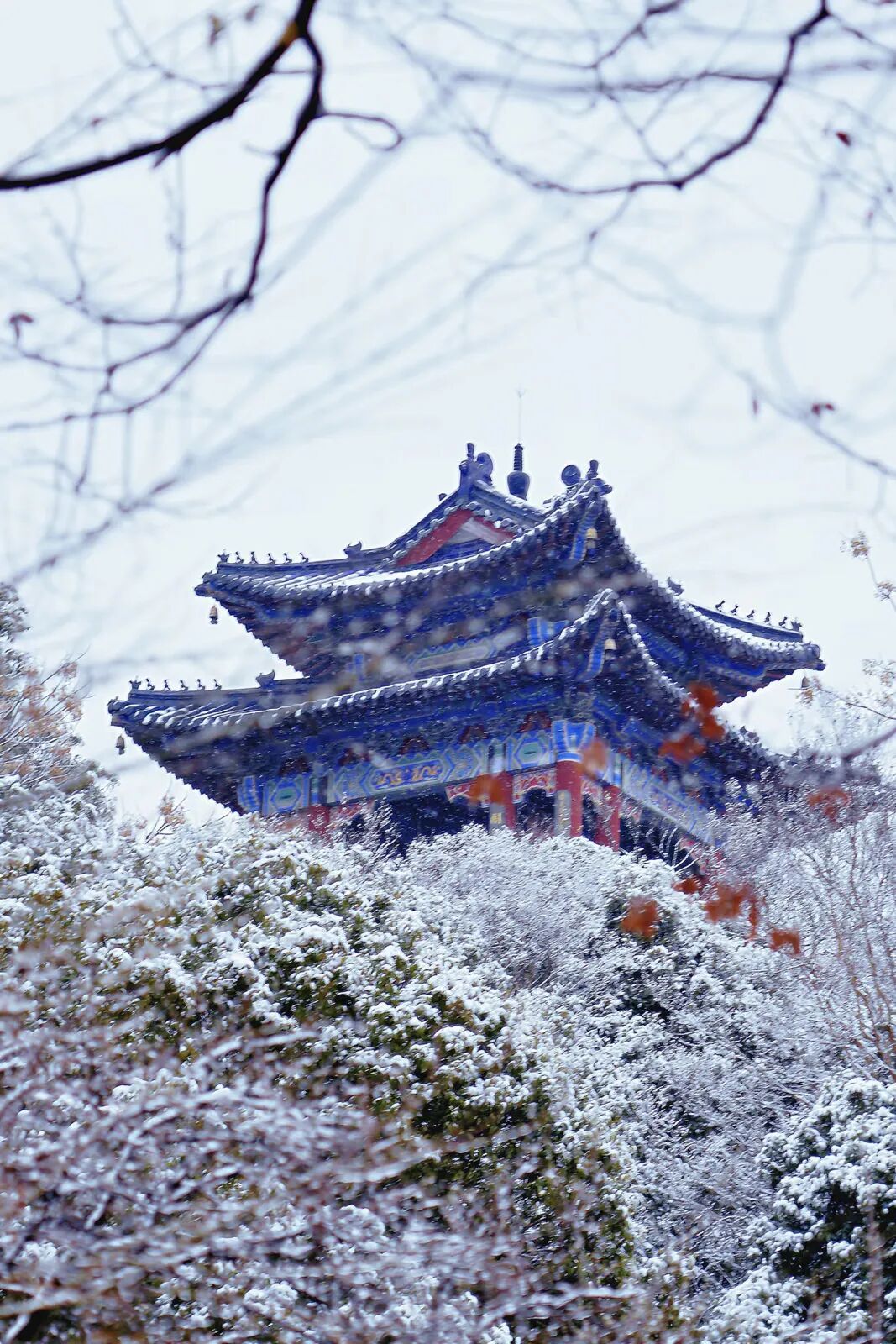 -4℃！下周，南京有小雪