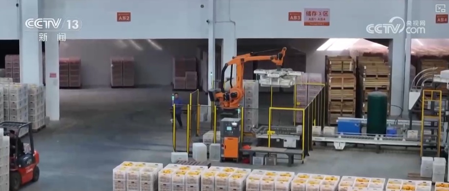 “数字+农业”助推特色农产品“出圈” 精细化服务提质增效让农户得实惠