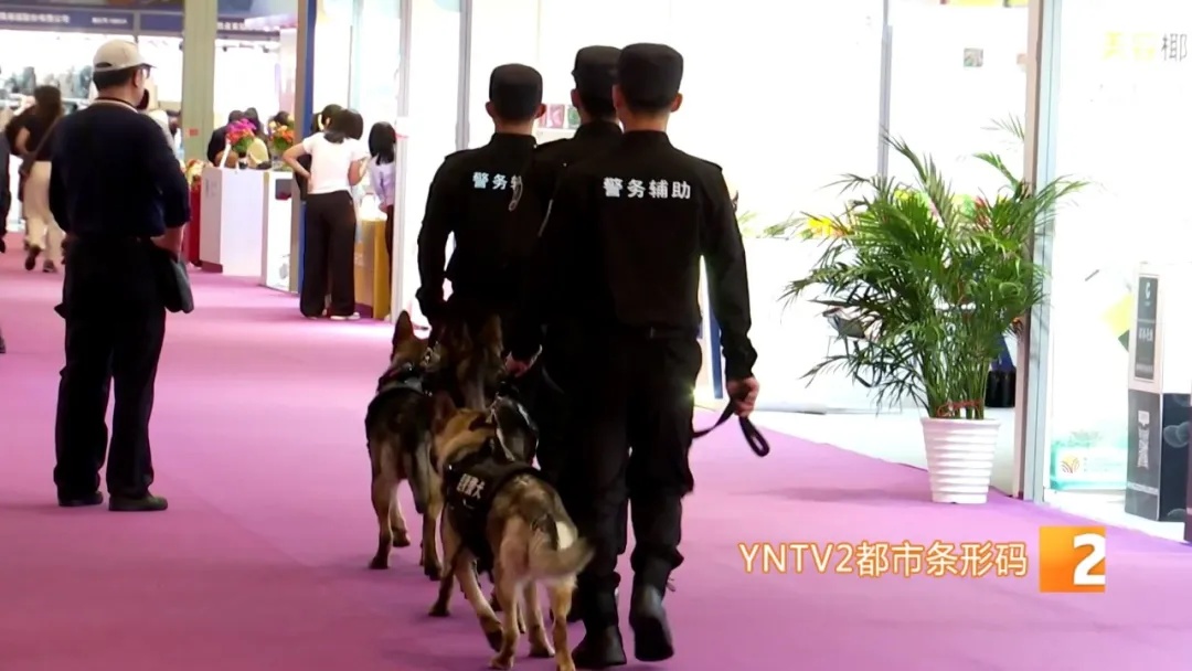 不会说话的特殊“警员”却屡立奇功！它们都来自昆明……