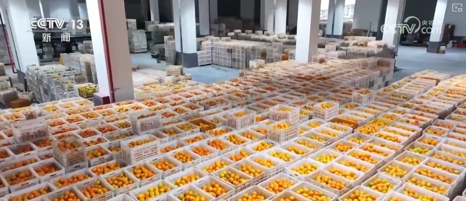 “数字+农业”助推特色农产品“出圈” 精细化服务提质增效让农户得实惠