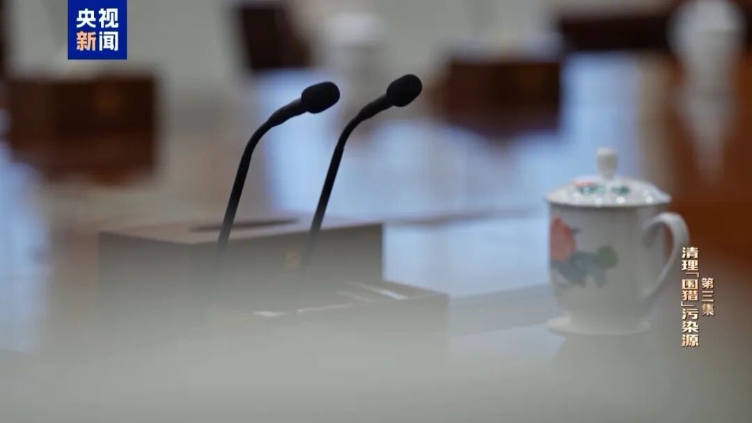 不谈感情只收钱，蒋超良出镜忏悔，有商人出钱出力，还拿60万给其保姆买房