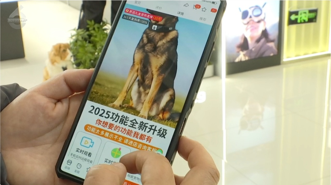 上海警方动真格！已有人被处罚！遛狗不牵绳的注意了