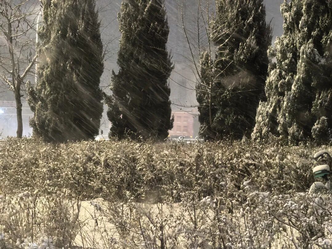 局部大雪！最低-31℃！雪后辽宁将迎两次大降温！