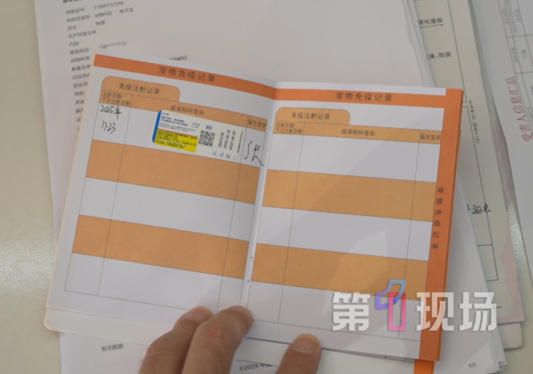 “保质期24小时”的宠物狗，购买7天后患上犬瘟死亡，市监介入调查