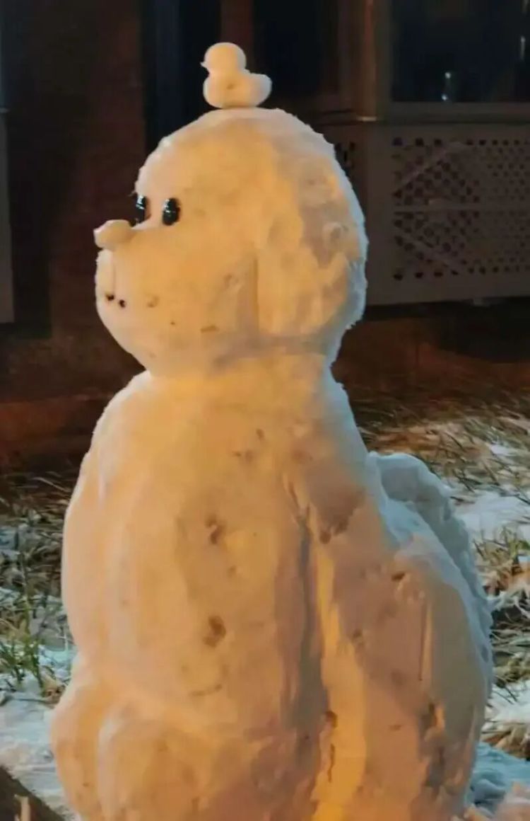 “00后”张天泽，在清华大学当楼长！