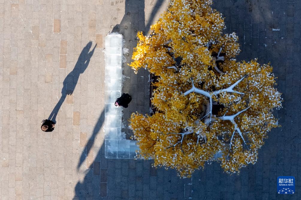 中华巴洛克历史文化街区奏响冬日乐章