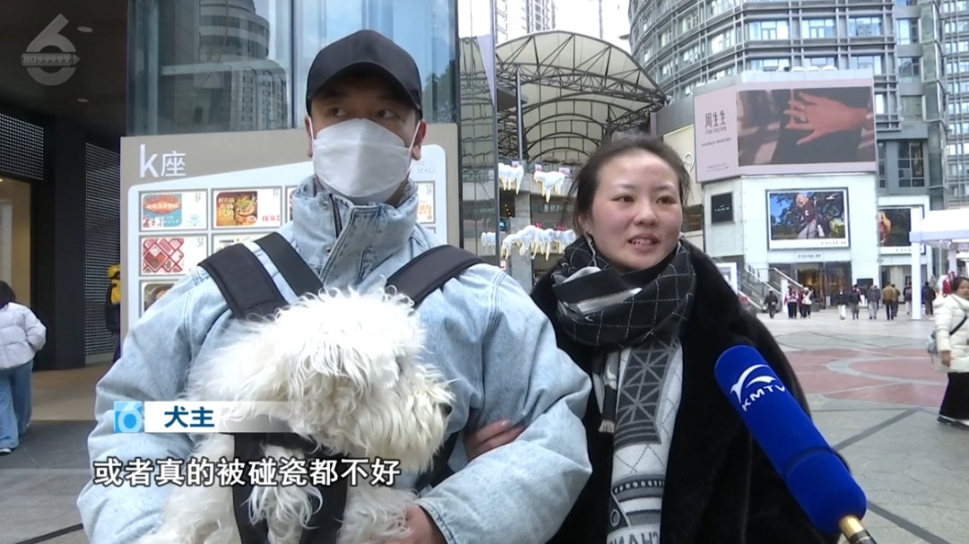 上海警方动真格！已有人被处罚！遛狗不牵绳的注意了